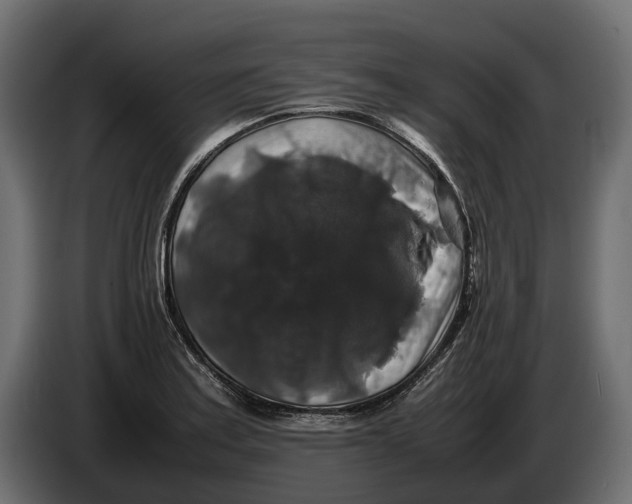 X0000086081179200704132056