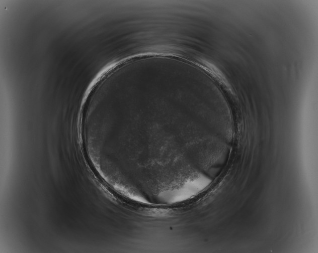 X0000086081180200704132056