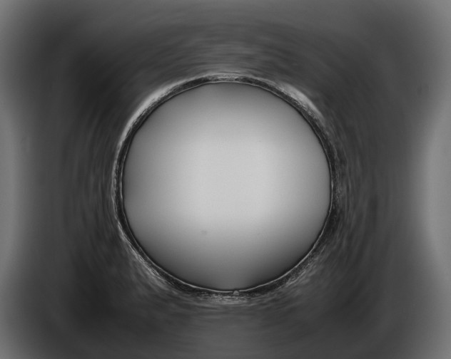 X0000086081183200704132056