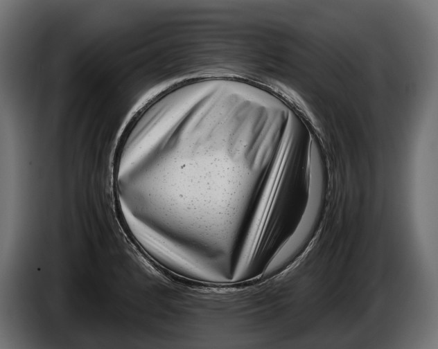 X0000086081184200704132056