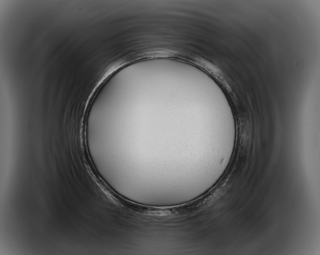 X0000086081186200704132056