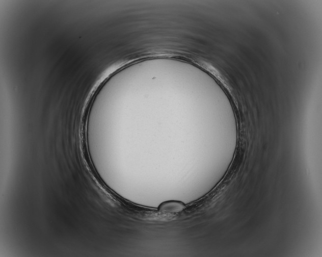 X0000086081187200704132056