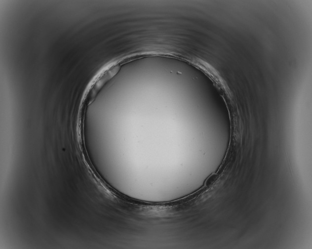 X0000086081188200704132056