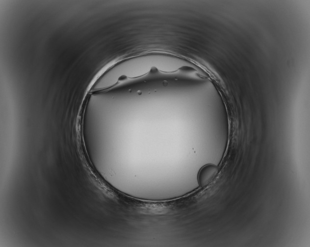 X0000086081190200704132056