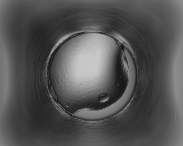 X0000086081192200704132056