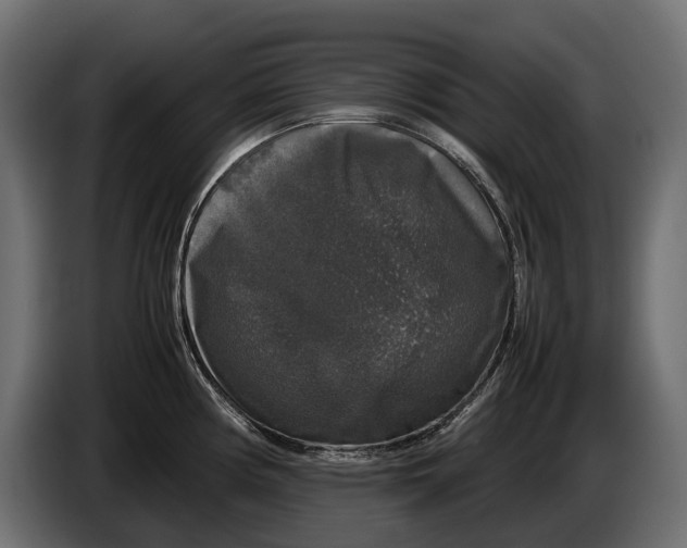 X0000086081194200704132056