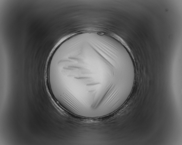 X0000086081195200704132056