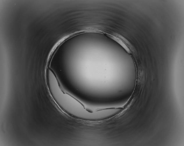 X0000086081196200704132056