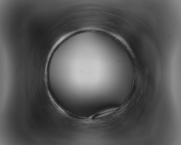 X0000086081199200704132056