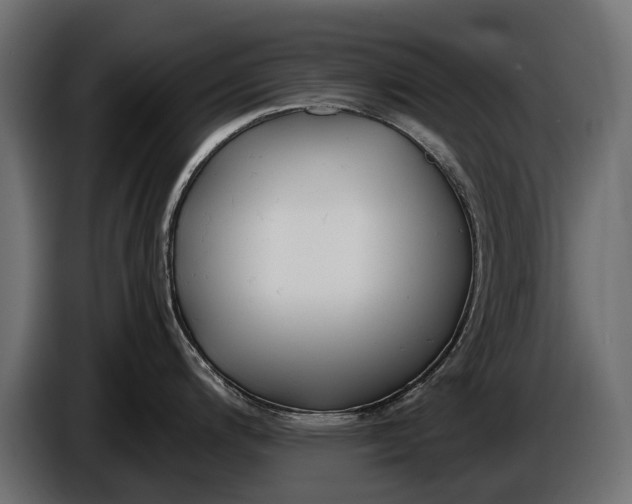 X0000086081200200704132056