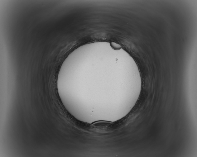 X0000086081201200704132055