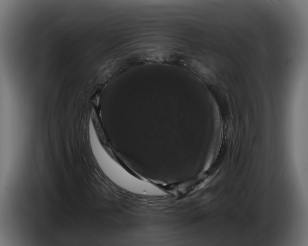 X0000086081202200704132055