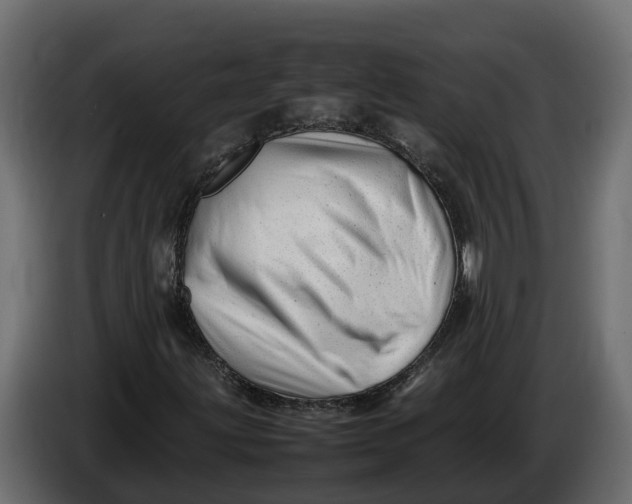 X0000086081203200704132055