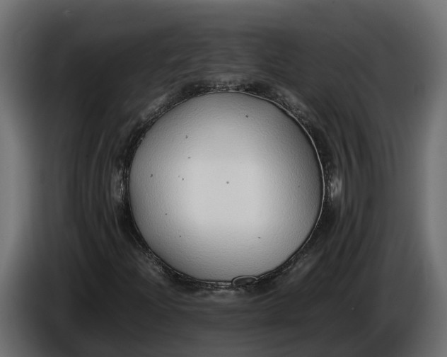 X0000086081204200704132055