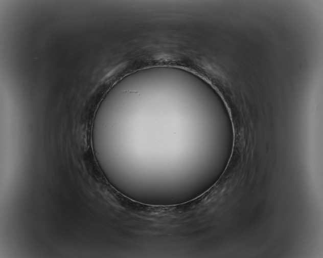 X0000086081205200704132055