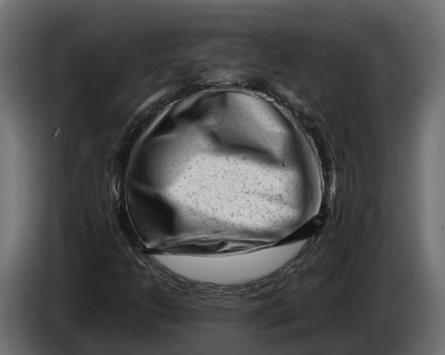 X0000086081206200704132055