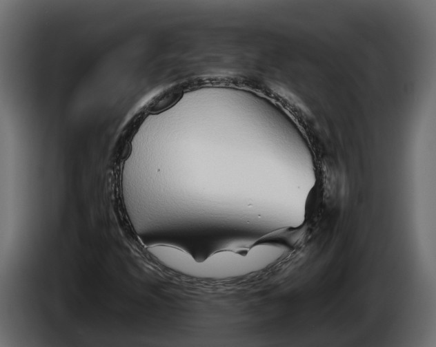 X0000086081208200704132055