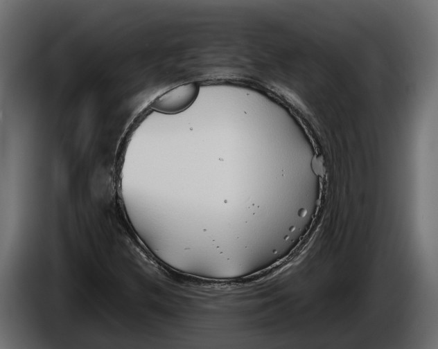 X0000086081212200704132055