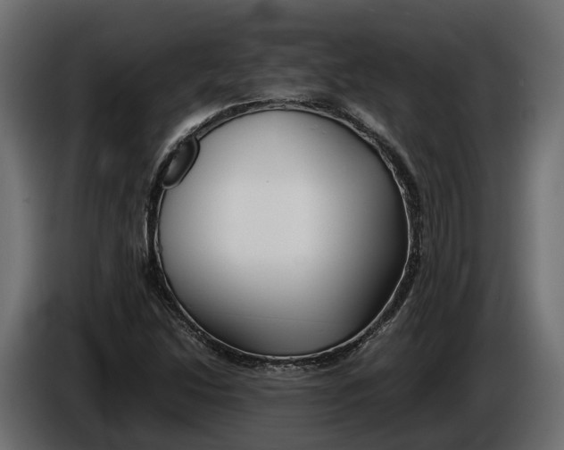 X0000086081214200704132055