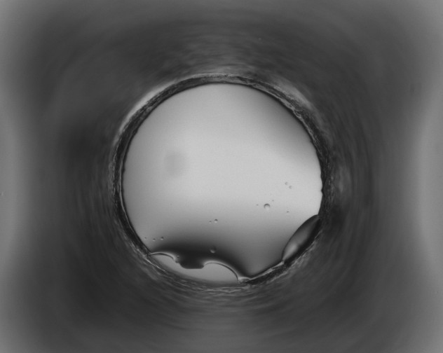 X0000086081216200704132055