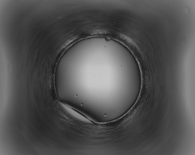 X0000086081217200704132055