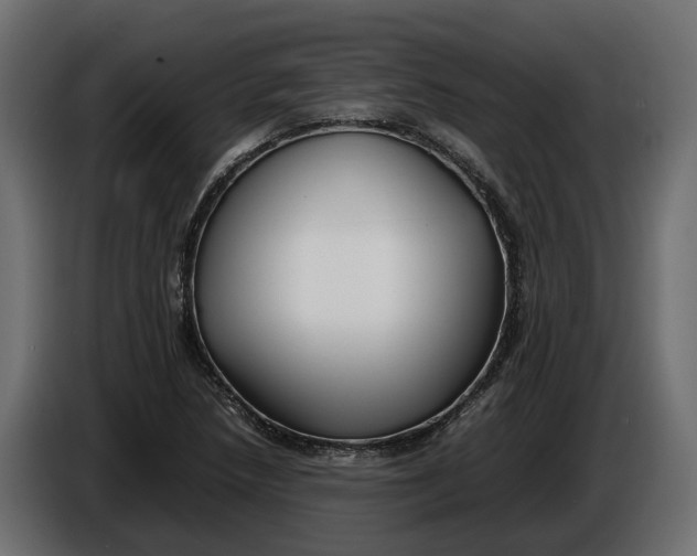 X0000086081218200704132055