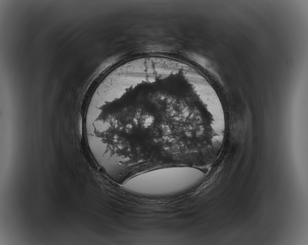 X0000086081221200704132055