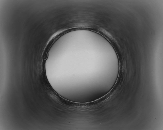 X0000086081222200704132055