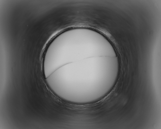 X0000086081224200704132055