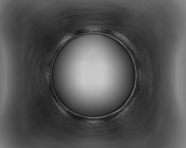 X0000086081225200704132055