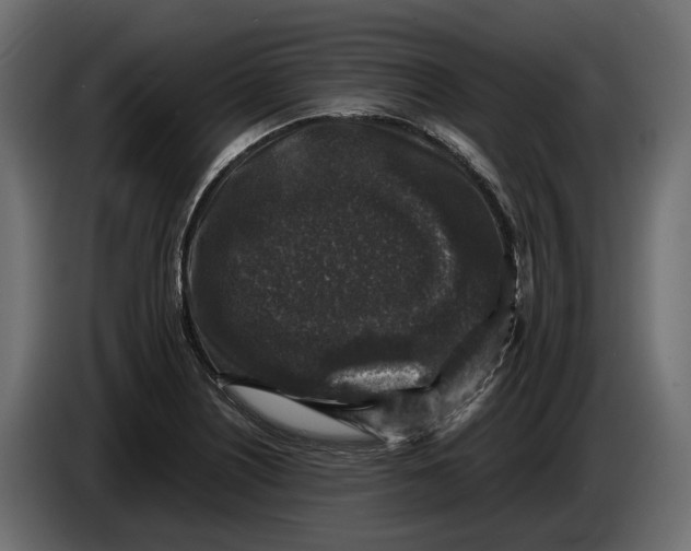 X0000086081226200704132055