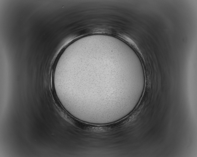 X0000086081227200704132055