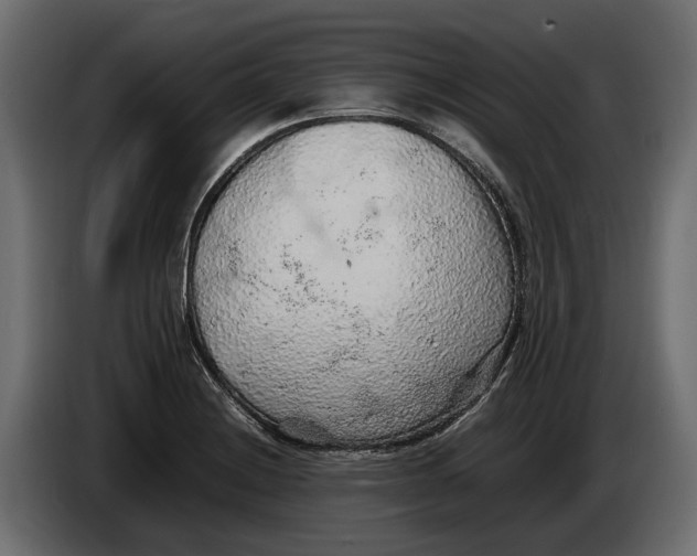 X0000086081228200704132055