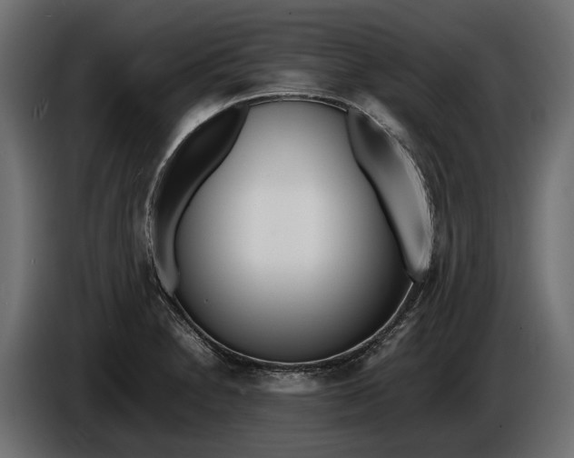 X0000086081230200704132055