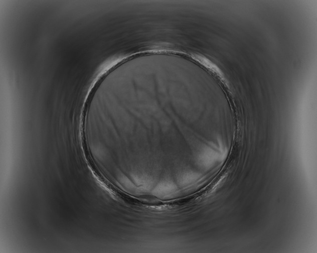 X0000086081231200704132055