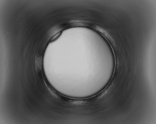 X0000086081233200704132055