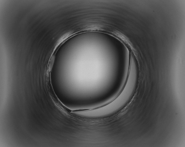 X0000086081234200704132055