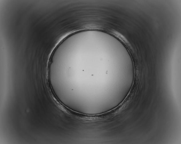 X0000086081236200704132055