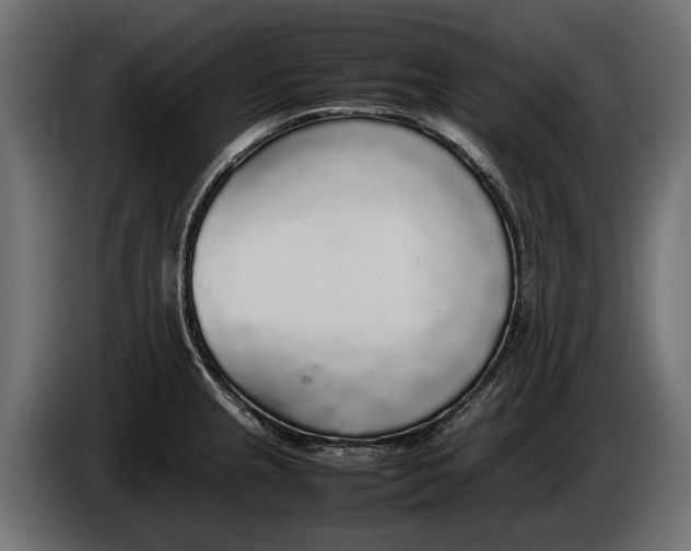 X0000086081237200704132055