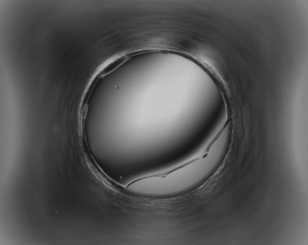 X0000086081238200704132055