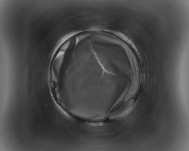 X0000086081239200704132055