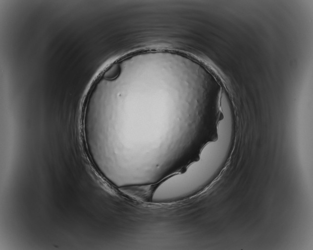 X0000086081240200704132055