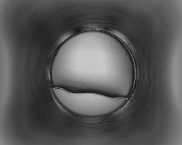 X0000086081241200704132055