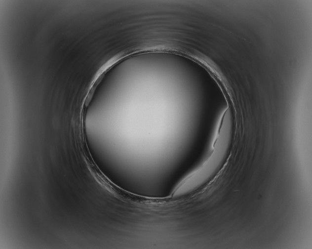 X0000086081242200704132055