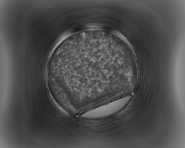 X0000086081243200704132055