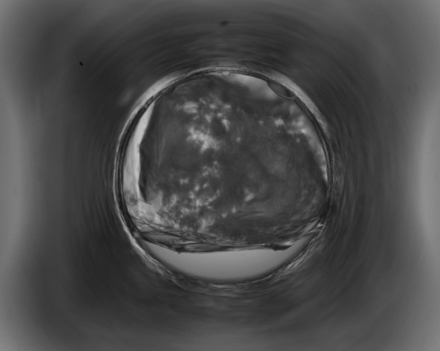 X0000086081245200704132056