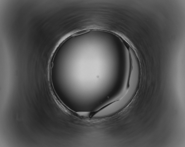 X0000086081246200704132056