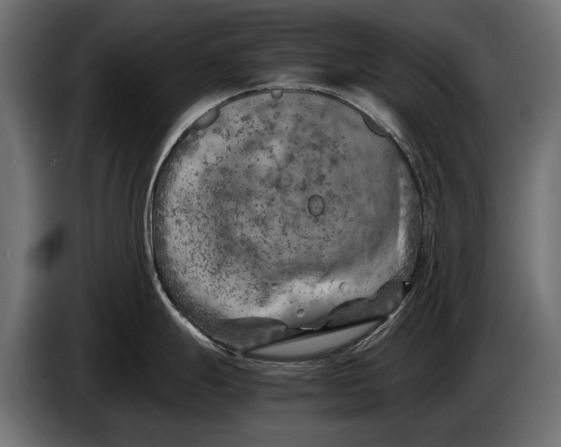 X0000086081247200704132056