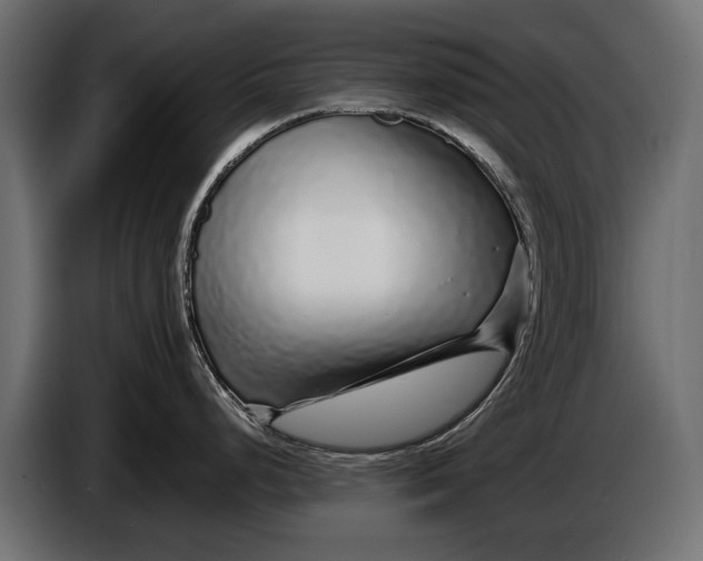 X0000086081248200704132056