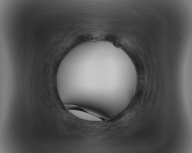 X0000086081249200704132055